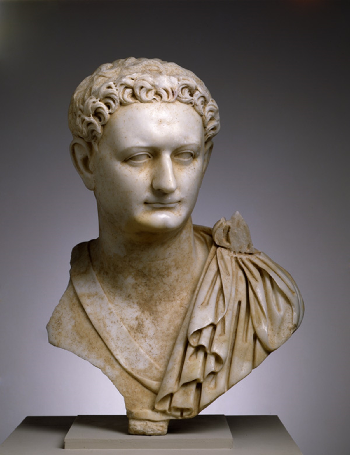 Portrait Bust of Emperor Domitian. Toledo Museum of Art.